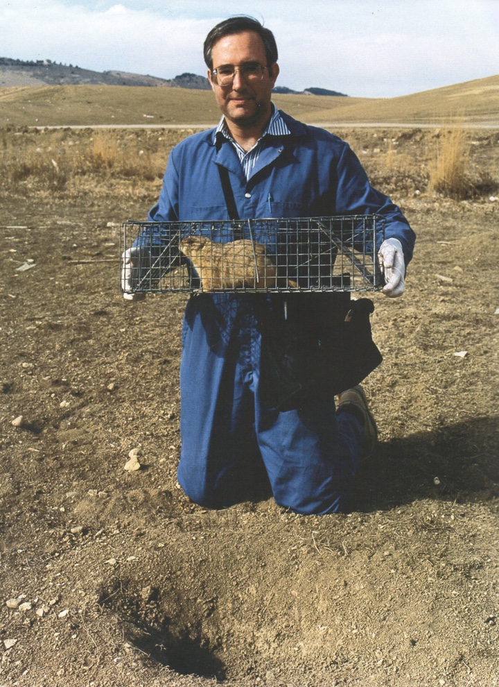 Photo of a slightly smiling man in a field, holding a caged rodent