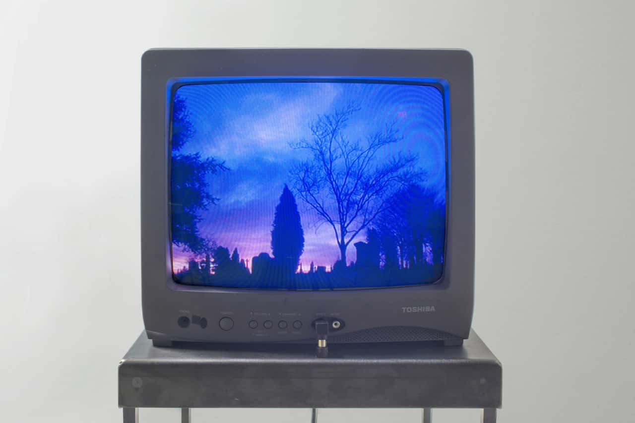 Closeup of a TV with blue-orange image of trees and monuments