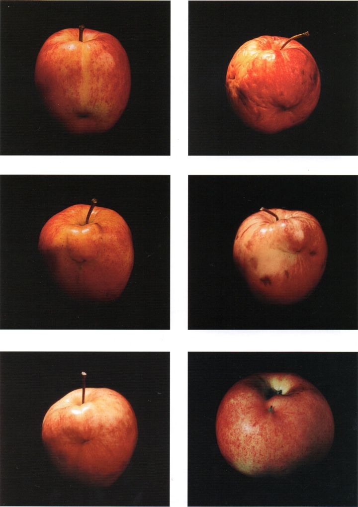 6 imperfect apples