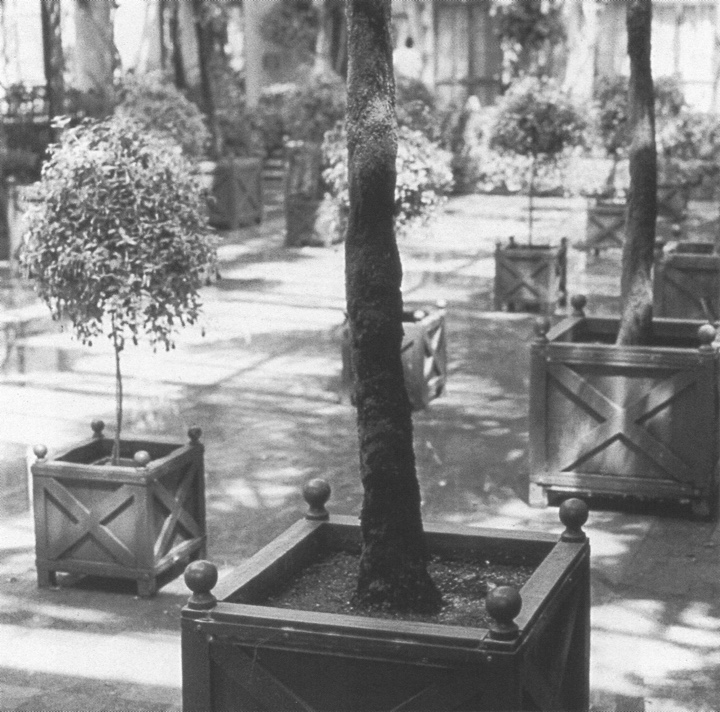 Photo of a sun-dappled courtyard