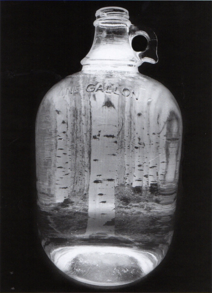 High-contrast photo of a jug of water with trees visible through it