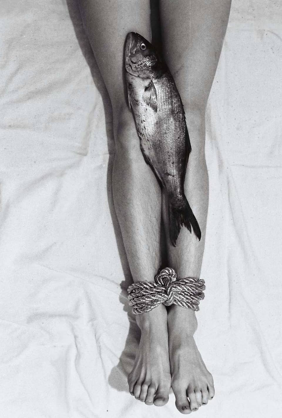 A pair of bare legs, bound at the ankles. A fish lies on the knees.
