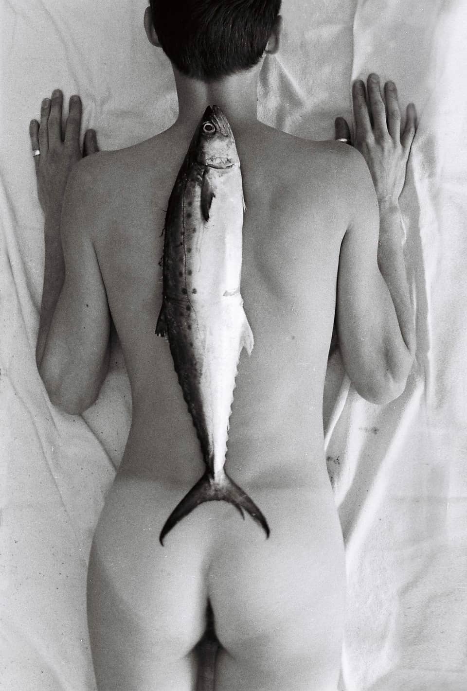 A nude lying on their front, a fish on their back.
