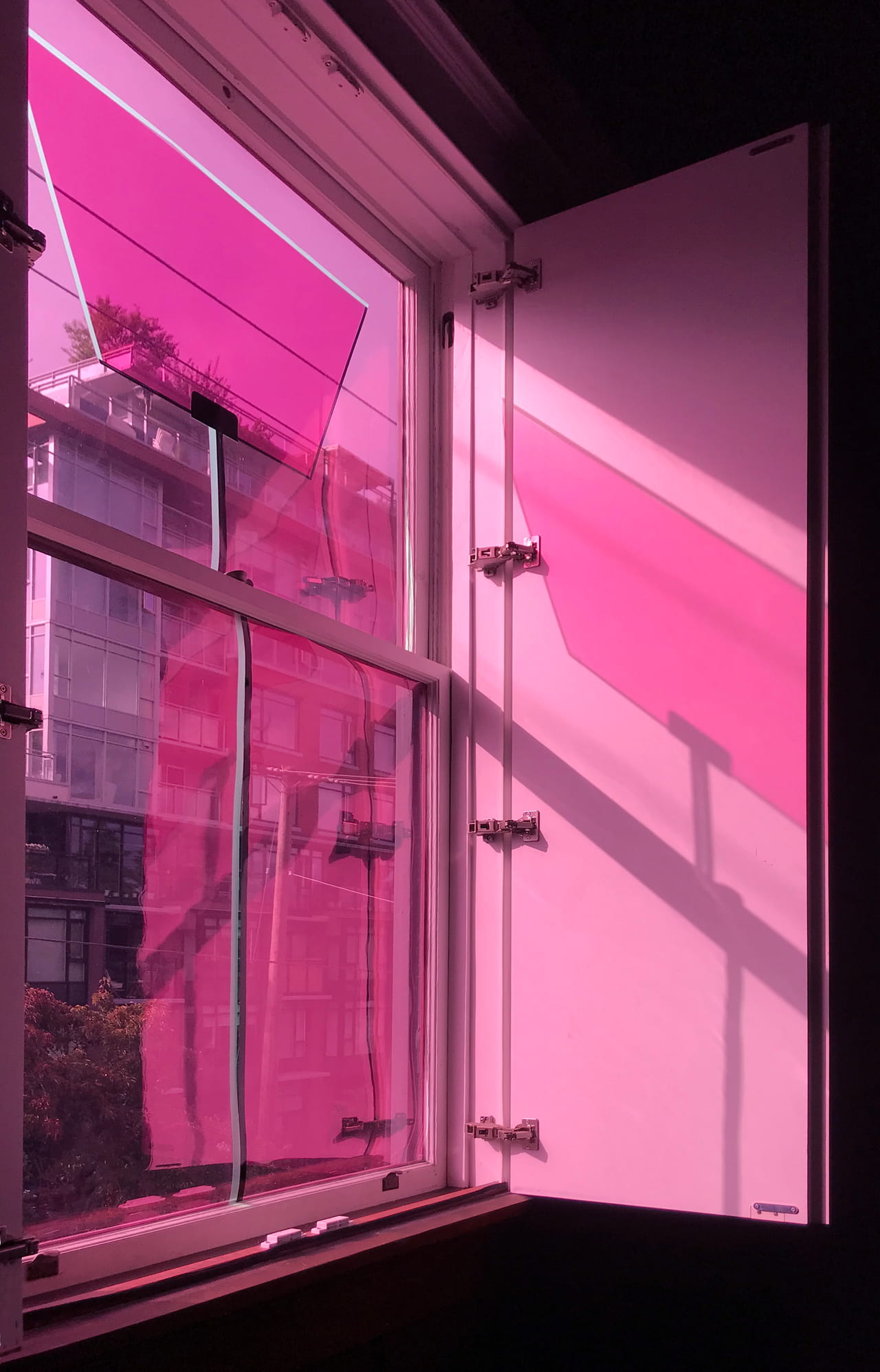 Window with teleprompter